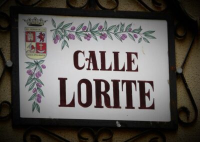 Calle Lorite