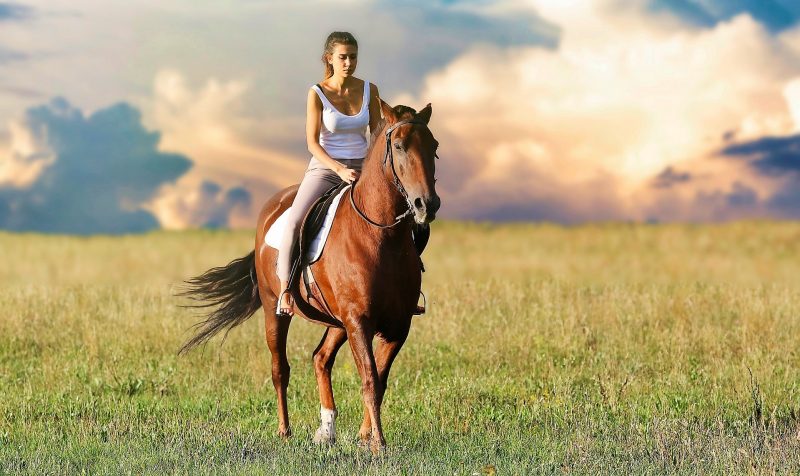 Beneficios de hacer un paseo a caballo por la sierra