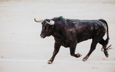 ¿Cuáles son los encierros de toros más antiguos de España?