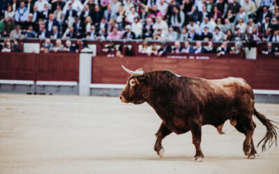 Cómo se debe vestir para ir a los toros