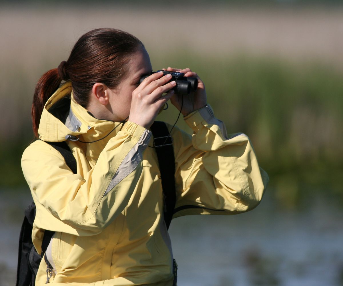 imagen-Guía-para-iniciarse-en-la-observación-de-aves Guía para iniciarse en la observación de aves